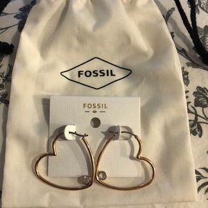 Fossil Earrings